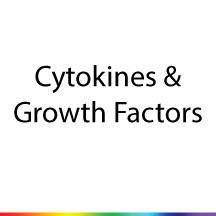 Cytokines & Growth Factors