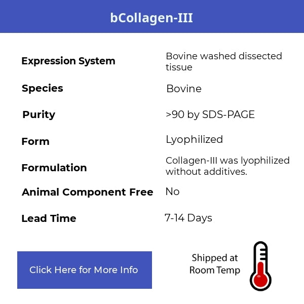 bCollagen-III