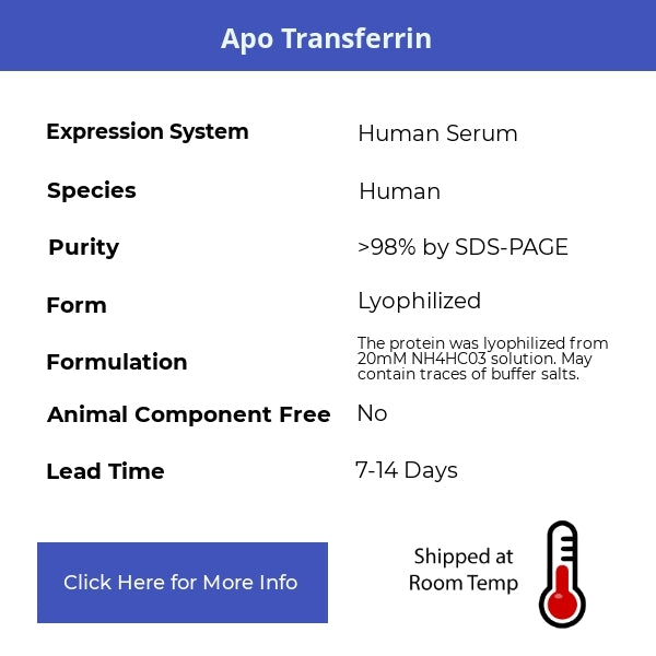 Apo Transferrin