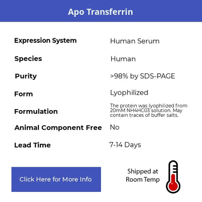 Apo Transferrin