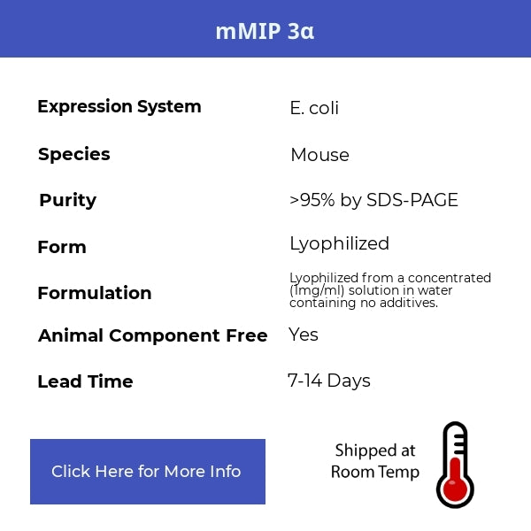 mMIP 3α