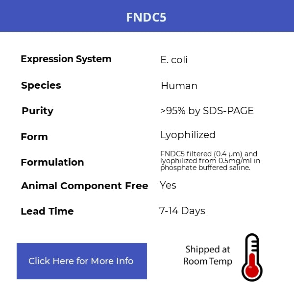 FNDC5