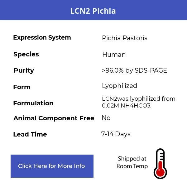 LCN2 Pichia