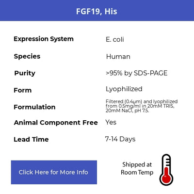 FGF19, His