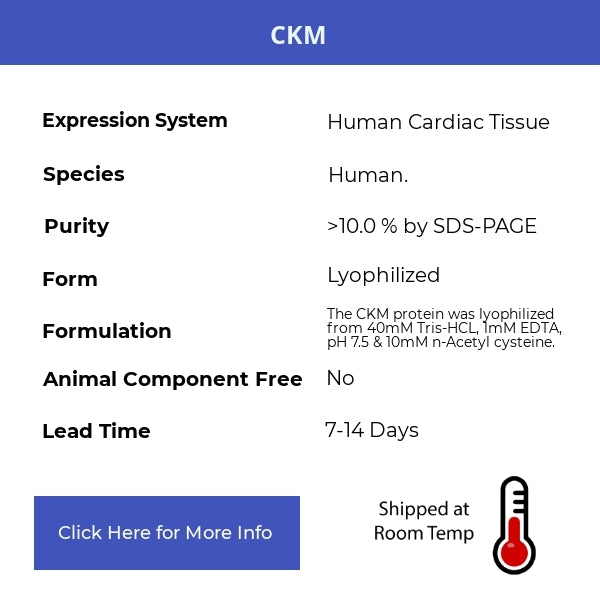 CKM - Human