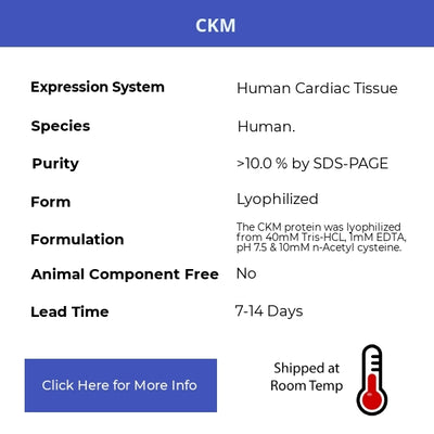 CKM - Human