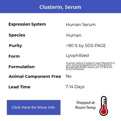 Clusterin, Serum