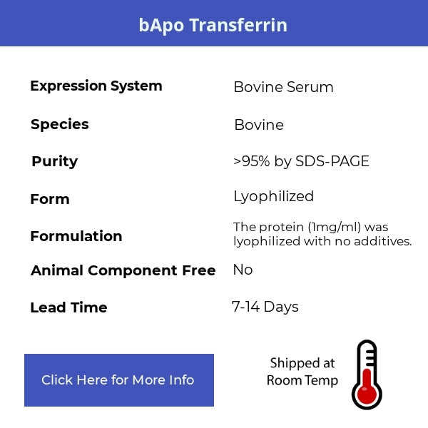 bApo Transferrin