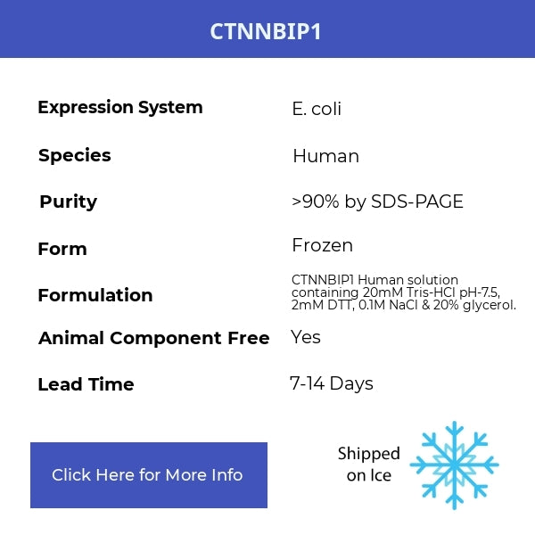 CTNNBIP1