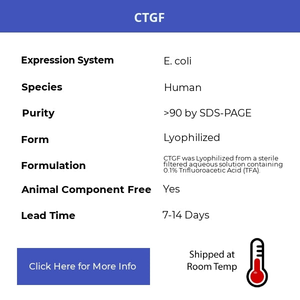 CTGF