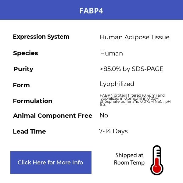 FABP4 - Human