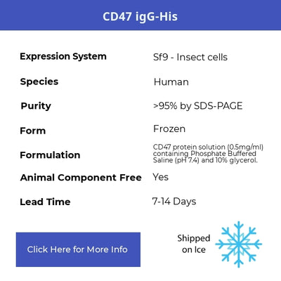 CD47 igG-His