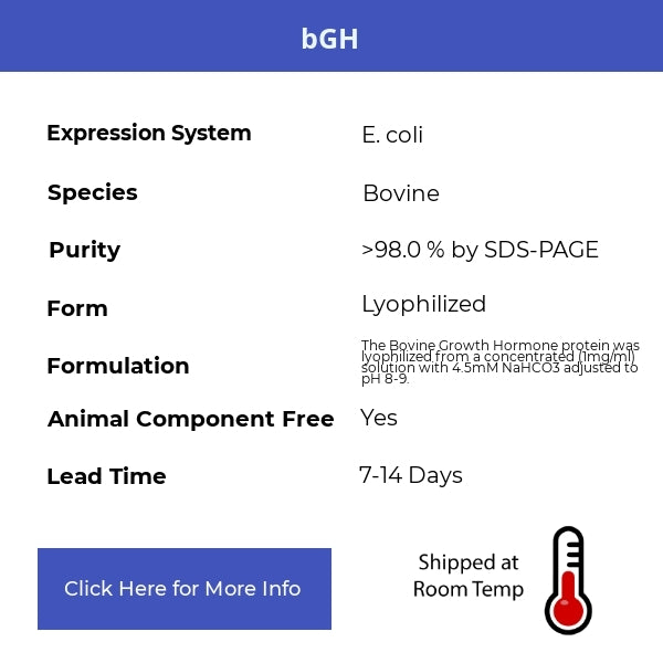 bGH