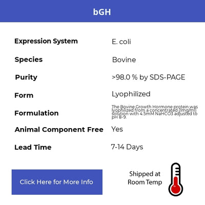 bGH