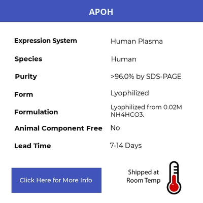 APOH - Human