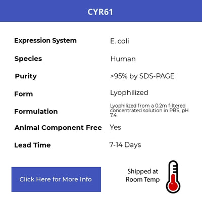 CYR61