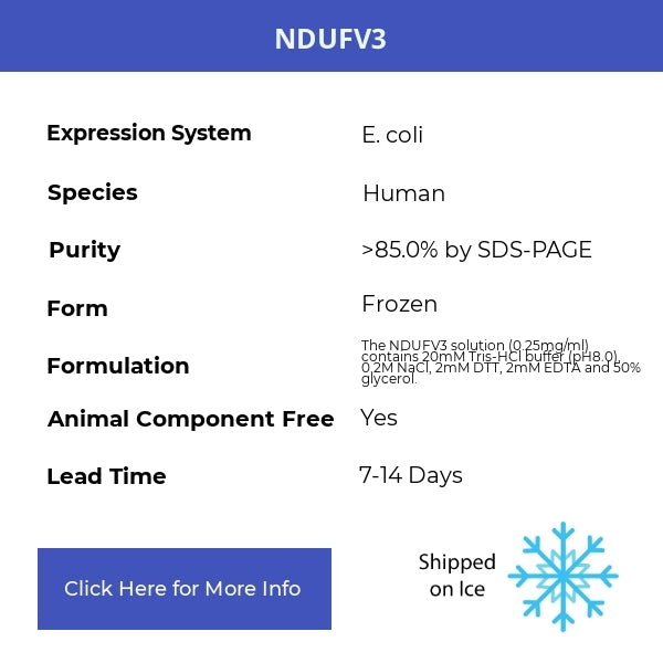 NDUFV3