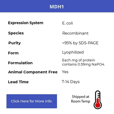 MDH1