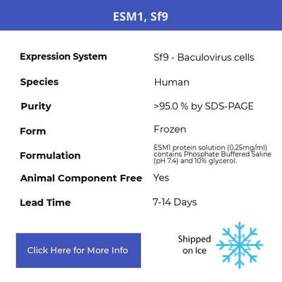 ESM1, Sf9