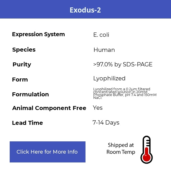 Exodus-2