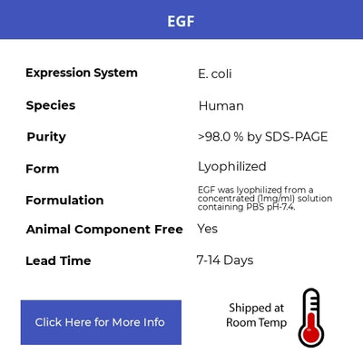 EGF