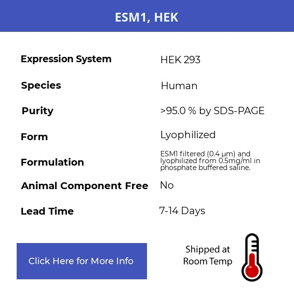 ESM1, HEK