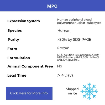 MPO