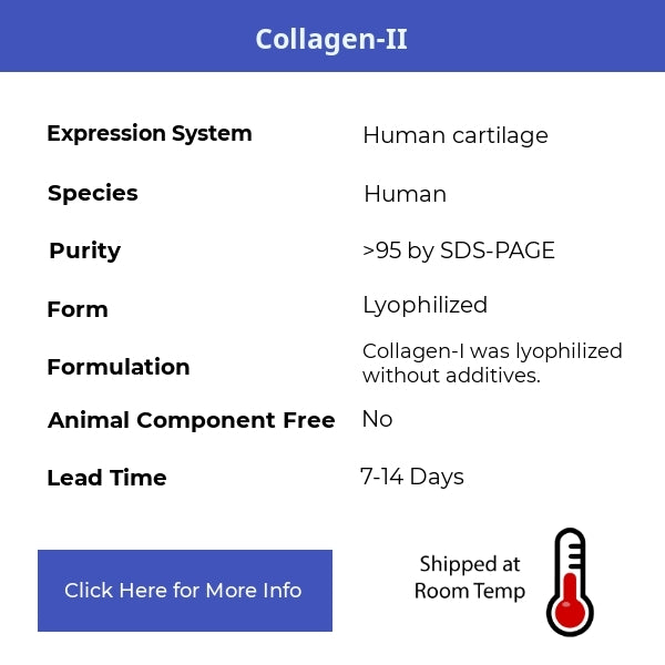 Collagen-II