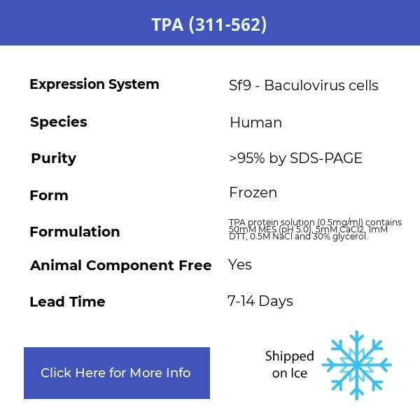 TPA (311-562)