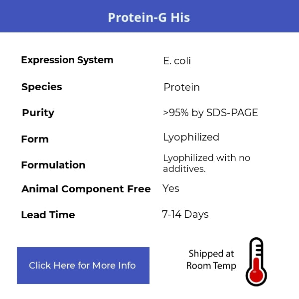 Protein-G His